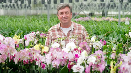 Growing Orchids Successfully
