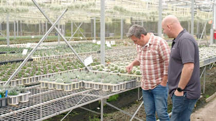 Succulent Secrets